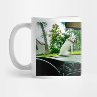 Lilly on car Mug